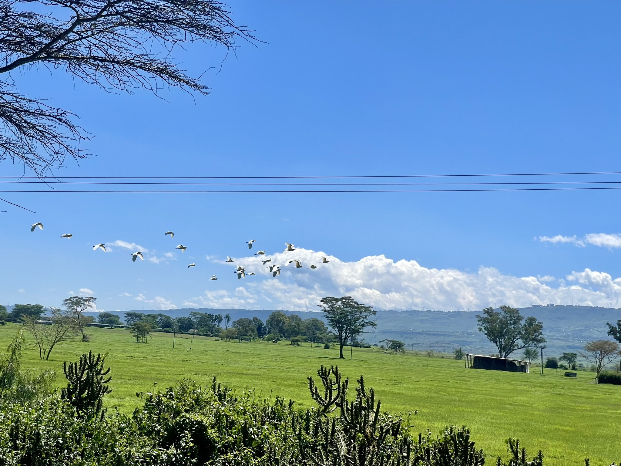 Sunset over the African horizon